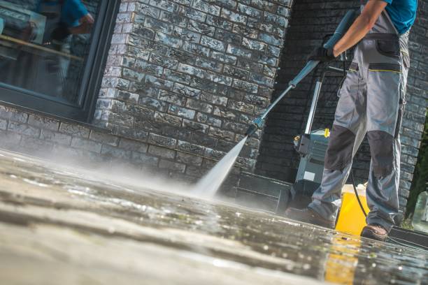 Best Animal Enclosure Cleaning  in Adel, GA